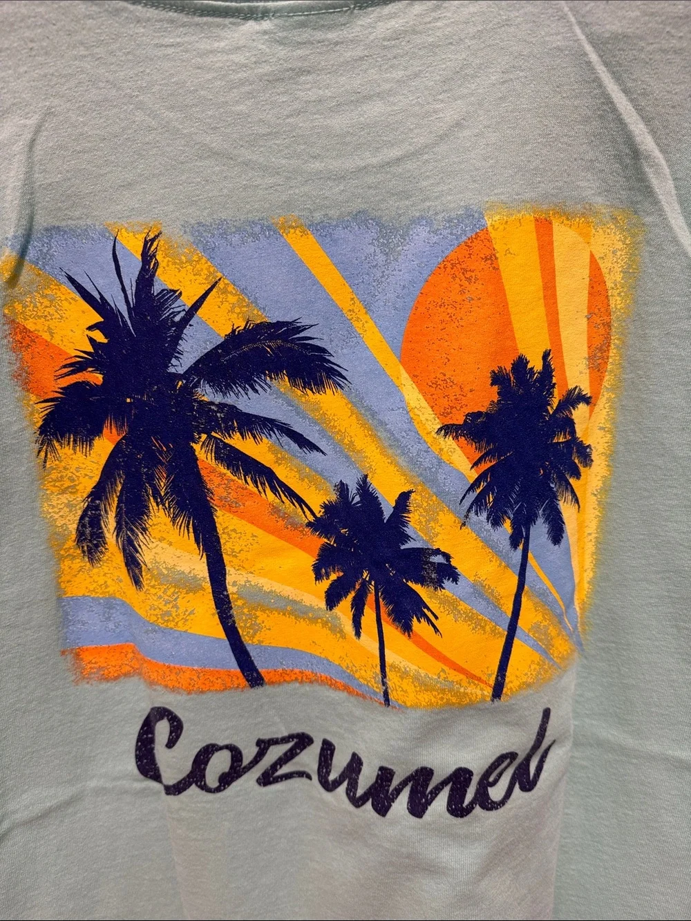 Cozumel Short-Sleeve Tee with Navy Palm Graphic